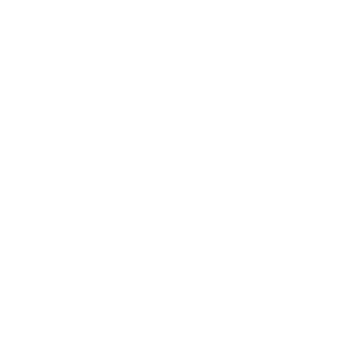 Auditoría Interna